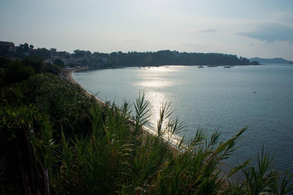 Aphrodite Skiathos Megali Ammos  Exterior foto
