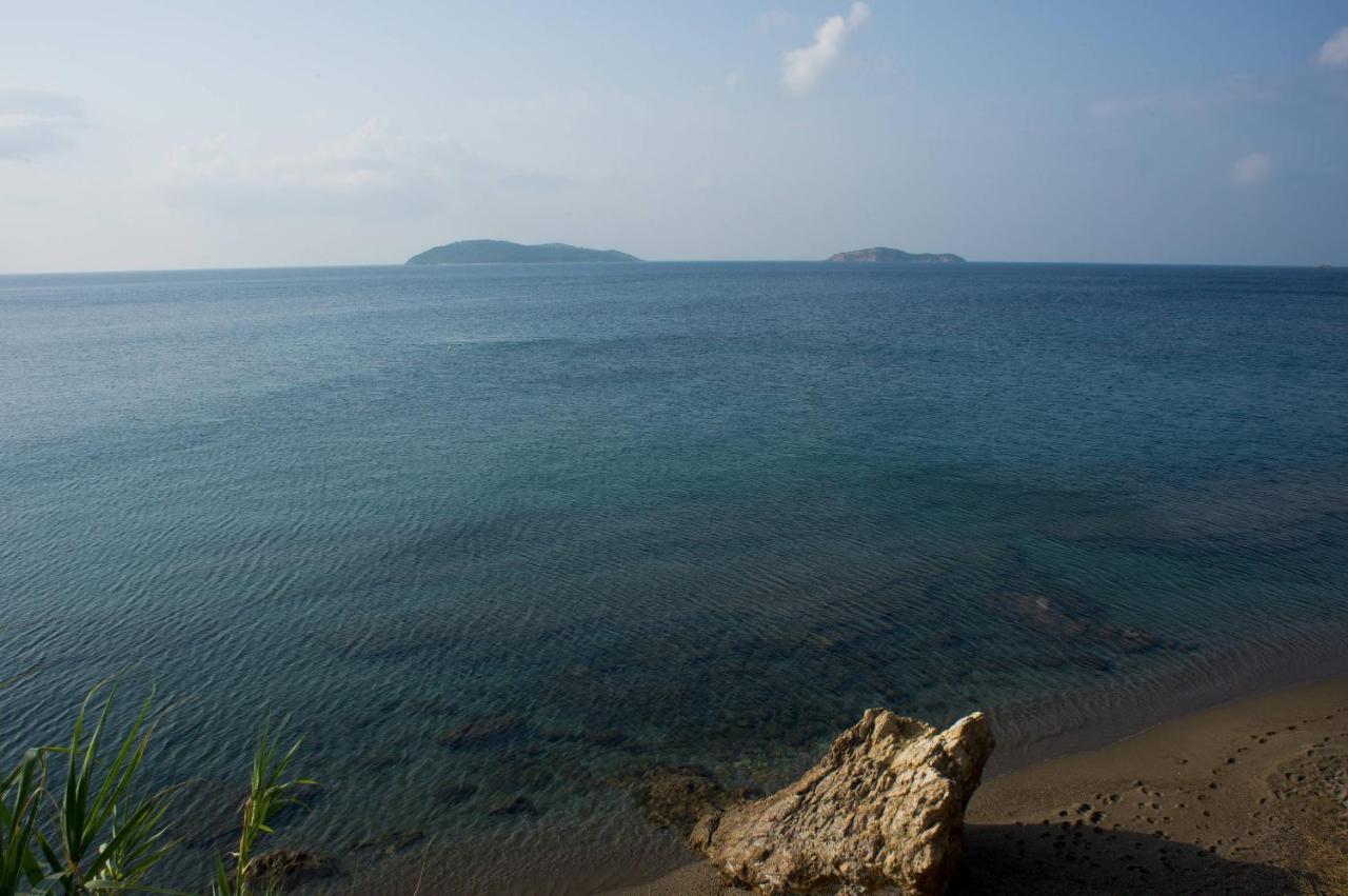 Aphrodite Skiathos Megali Ammos  Exterior foto